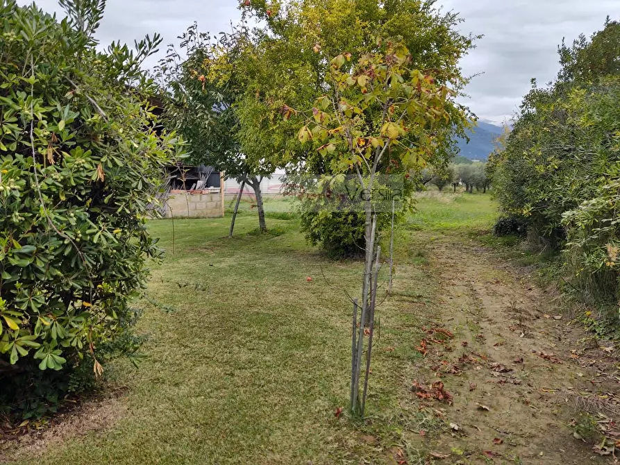 Immagine 9 di Rustico / casale in vendita  a Camaiore