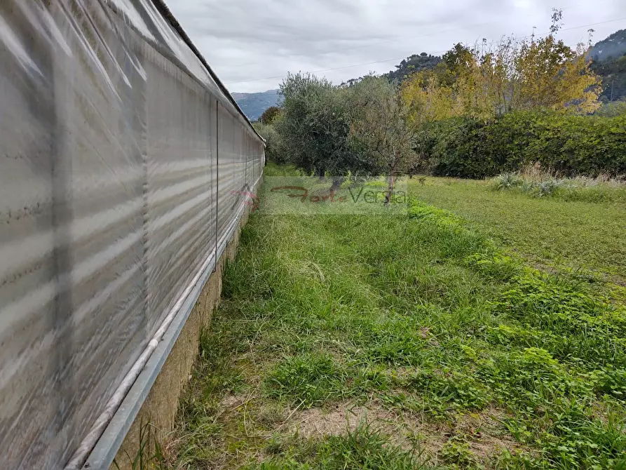 Immagine 10 di Rustico / casale in vendita  a Camaiore