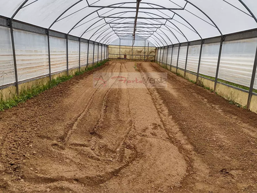 Immagine 11 di Rustico / casale in vendita  a Camaiore