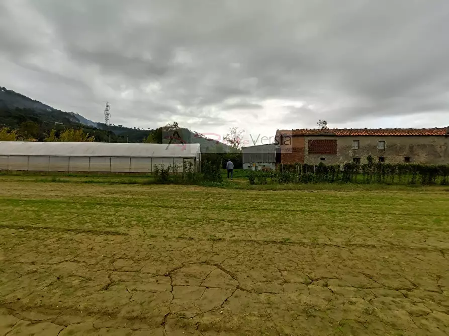 Immagine 12 di Rustico / casale in vendita  a Camaiore