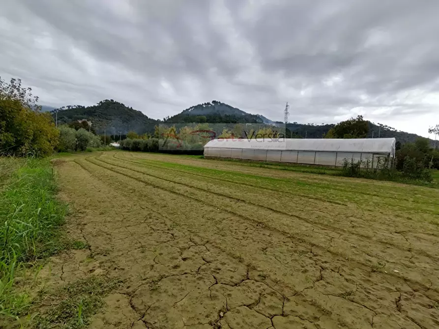 Immagine 14 di Rustico / casale in vendita  a Camaiore