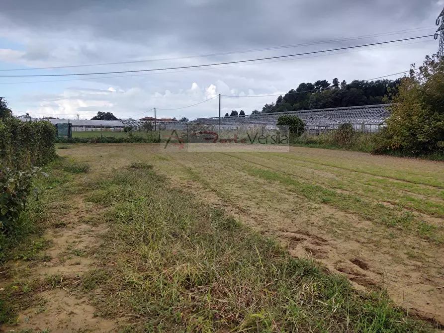 Immagine 15 di Rustico / casale in vendita  a Camaiore