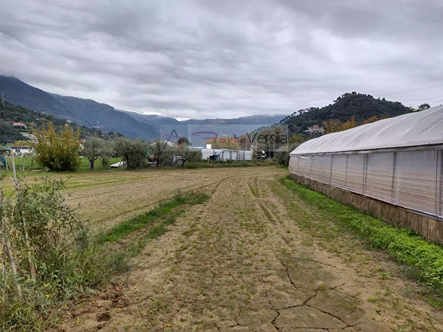 Immagine 16 di Rustico / casale in vendita  a Camaiore