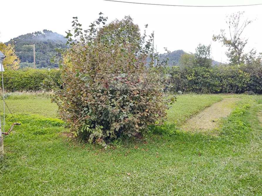 Immagine 18 di Rustico / casale in vendita  a Camaiore