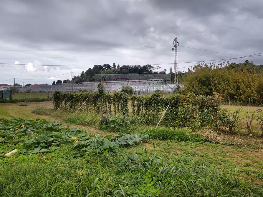 Immagine 19 di Rustico / casale in vendita  a Camaiore