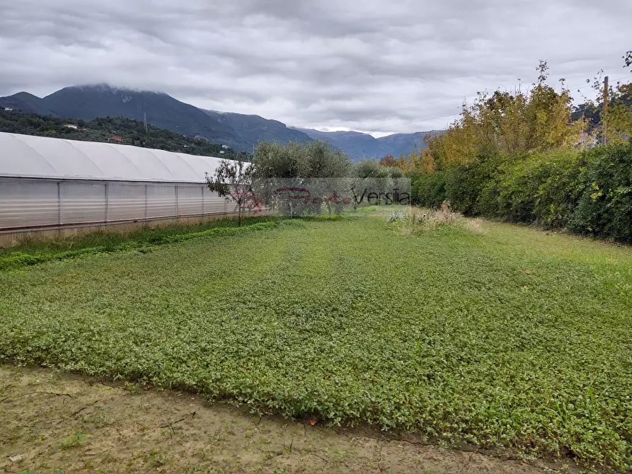 Immagine 20 di Rustico / casale in vendita  a Camaiore