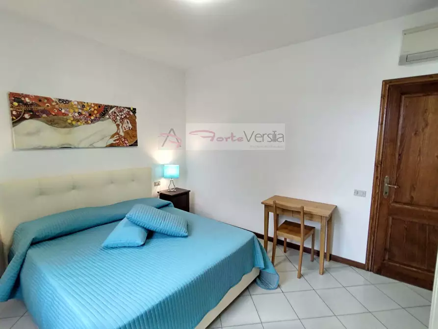 Immagine 18 di Villa in vendita  a Forte Dei Marmi