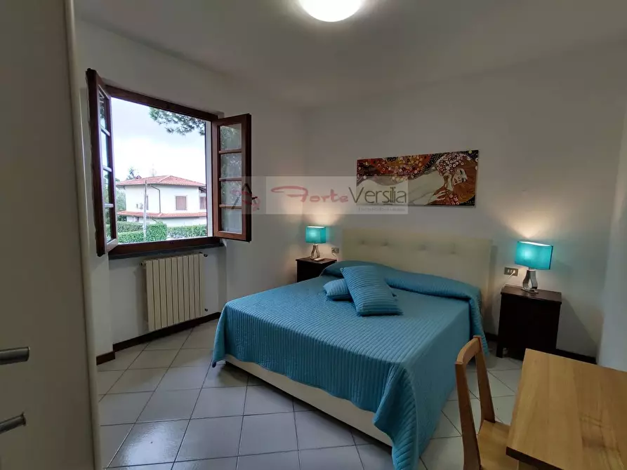 Immagine 21 di Villa in vendita  a Forte Dei Marmi