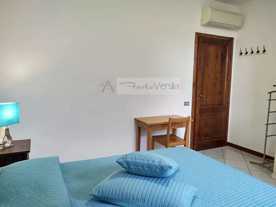 Immagine 23 di Villa in vendita  a Forte Dei Marmi