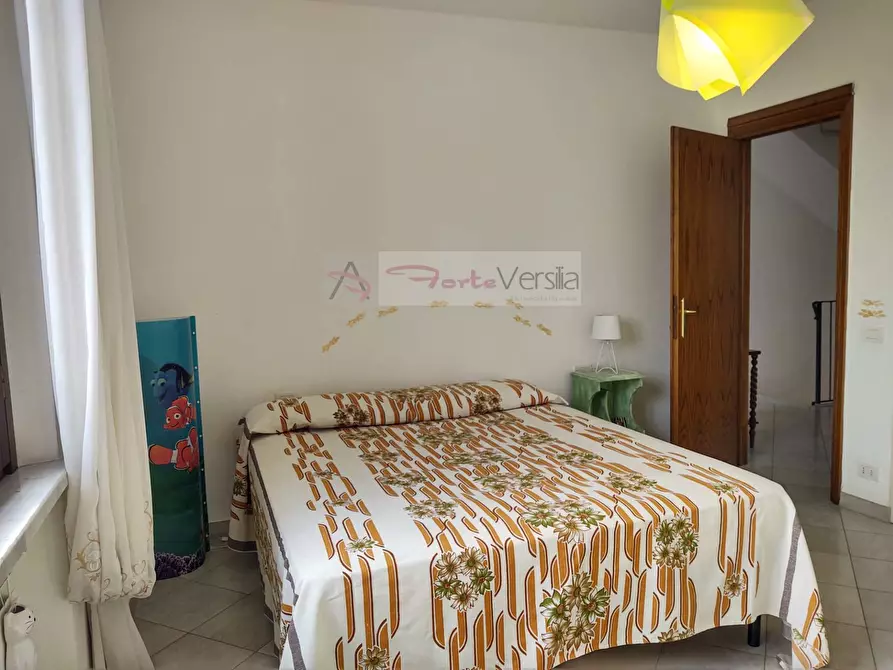 Immagine 21 di Villa in vendita  a Pietrasanta