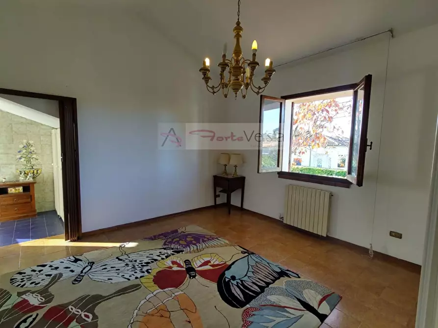 Immagine 14 di Villa in vendita  a Forte Dei Marmi