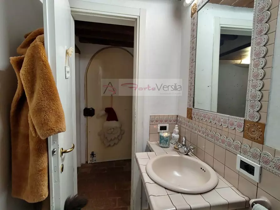 Immagine 11 di Rustico / casale in vendita  a Pietrasanta