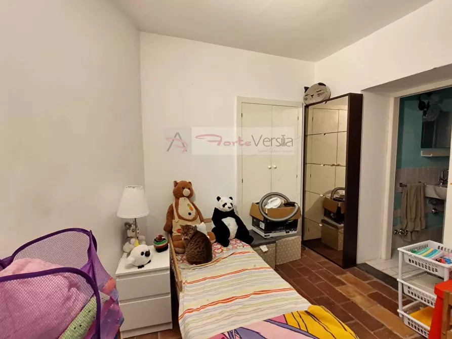 Immagine 19 di Rustico / casale in vendita  a Pietrasanta