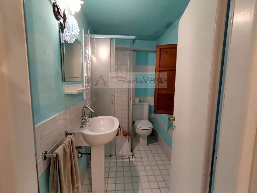 Immagine 20 di Rustico / casale in vendita  a Pietrasanta