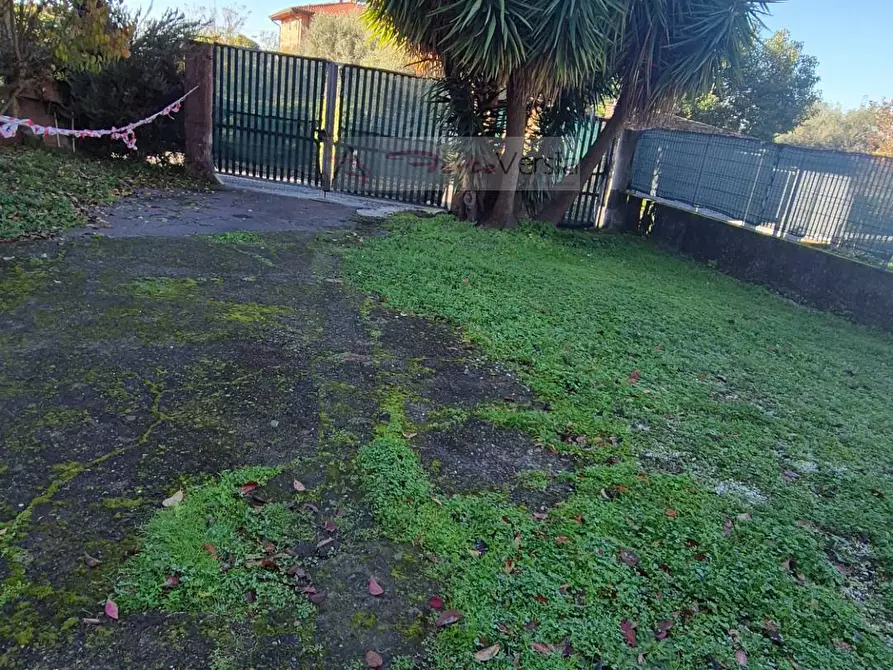 Immagine 5 di Casa indipendente in vendita  a Massa