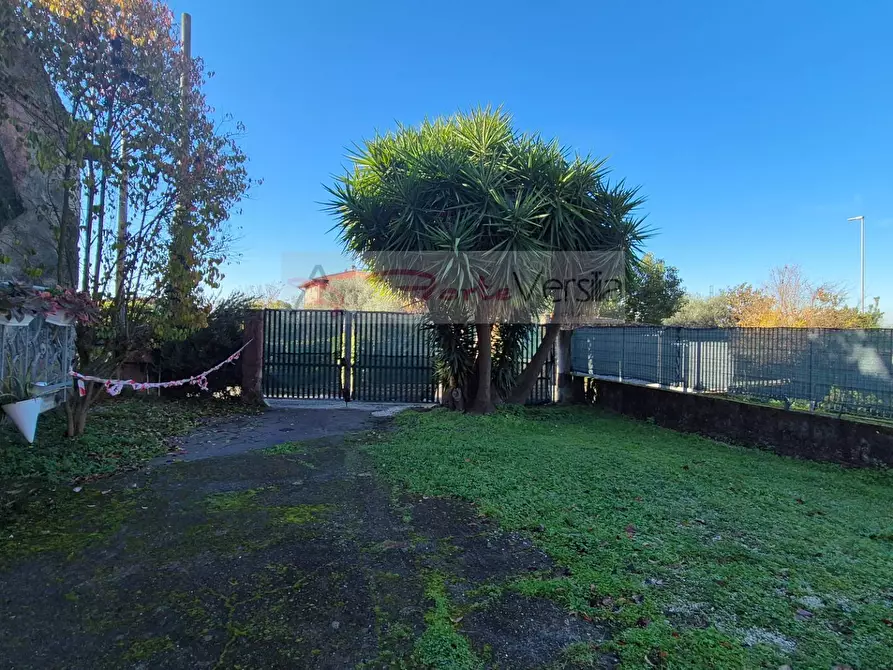 Immagine 6 di Casa indipendente in vendita  a Massa