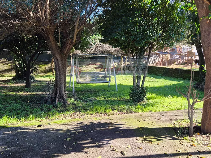 Immagine 12 di Casa indipendente in vendita  a Massa