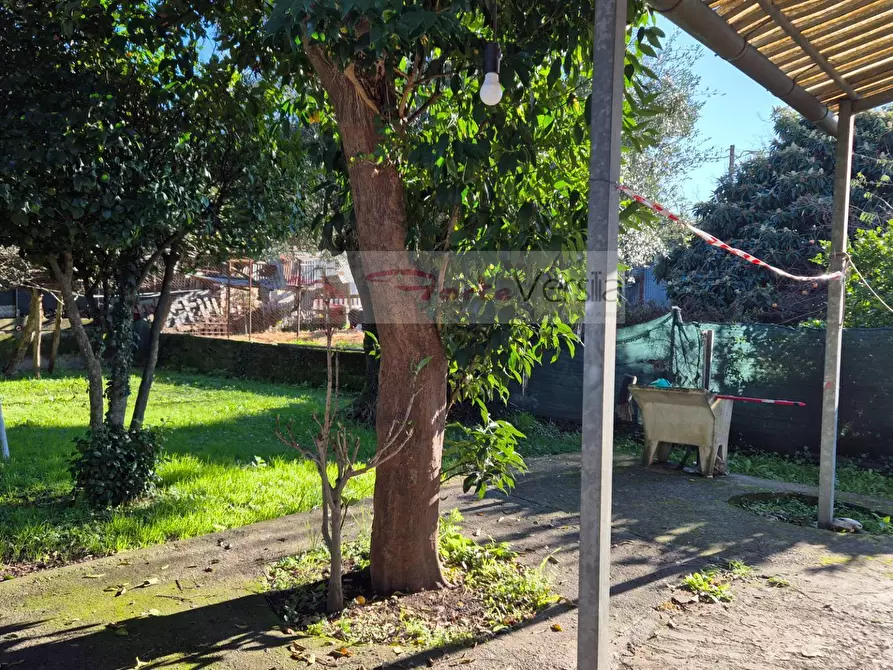 Immagine 13 di Casa indipendente in vendita  a Massa