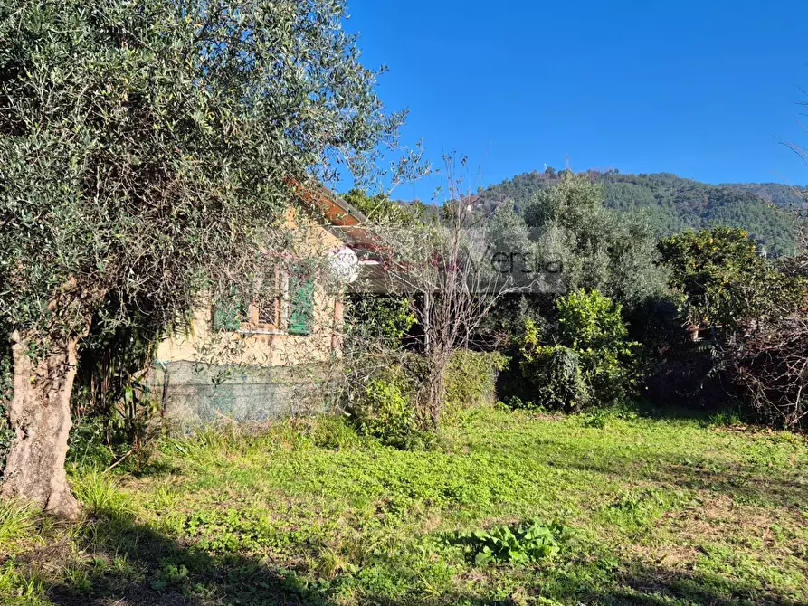 Immagine 2 di Casa indipendente in vendita  a Massa