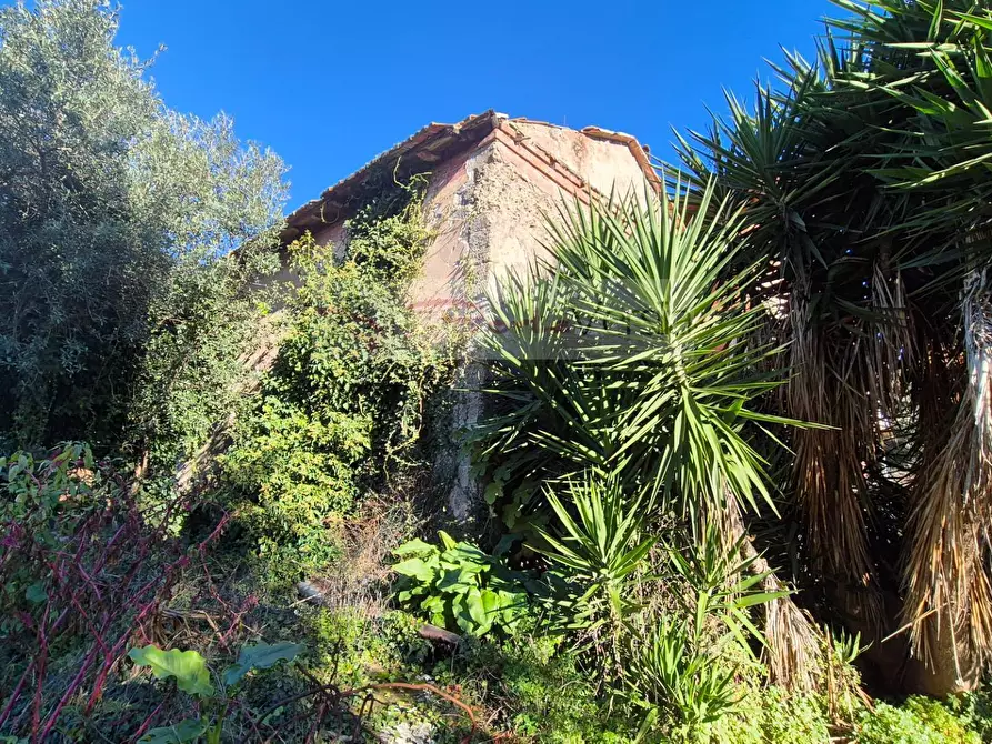 Immagine 8 di Casa indipendente in vendita  a Massa