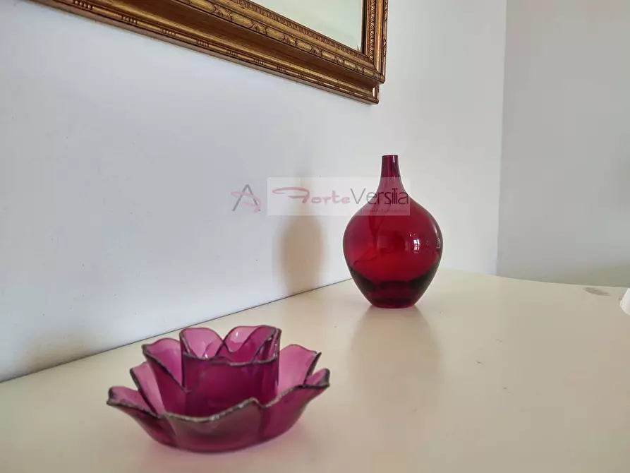 Immagine 1 di Villa in vendita  a Pietrasanta