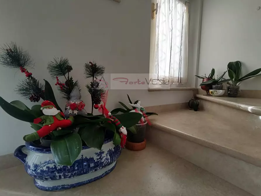 Immagine 20 di Villa in vendita  a Pietrasanta