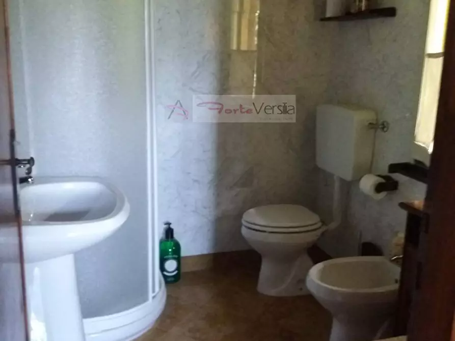 Immagine 21 di Rustico / casale in vendita  a Pietrasanta