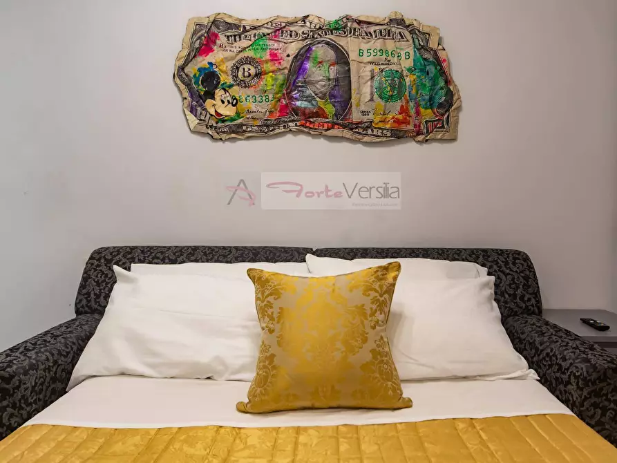 Immagine 18 di Appartamento in vendita  a Viareggio