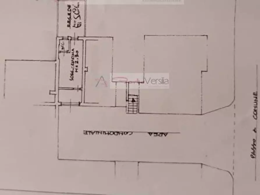 Immagine 6 di Appartamento in vendita  a Viareggio