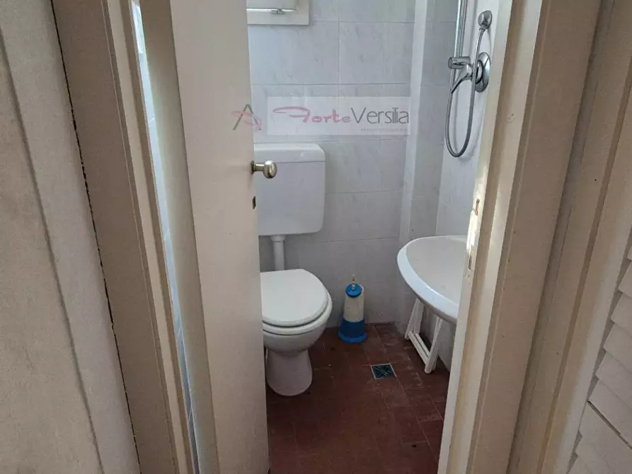 Immagine 10 di Villa in vendita  a Forte Dei Marmi