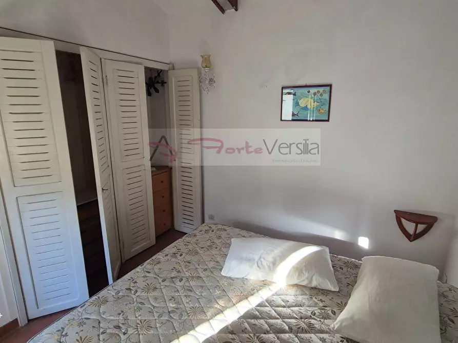 Immagine 7 di Villa in vendita  a Forte Dei Marmi