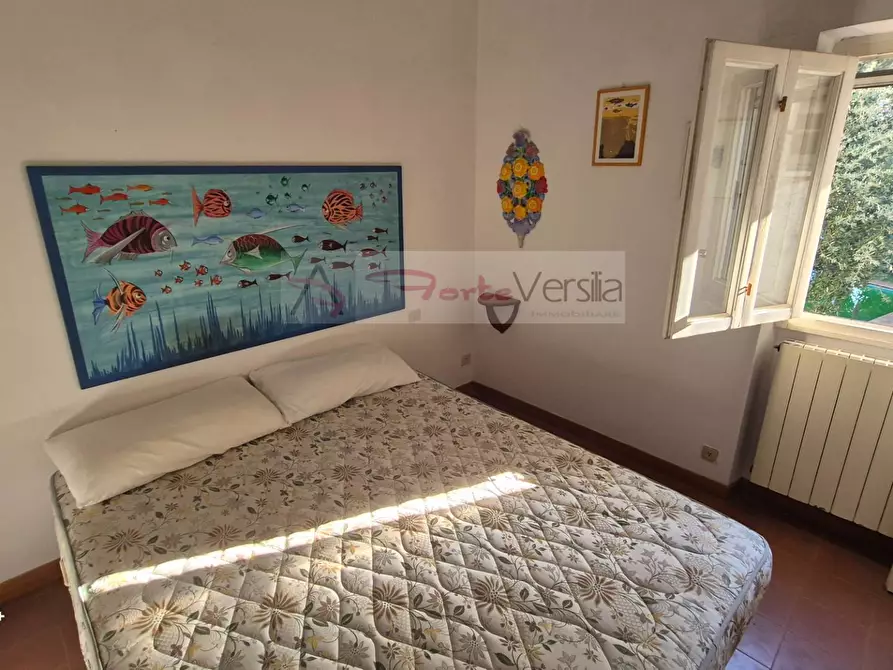 Immagine 6 di Villa in vendita  a Forte Dei Marmi