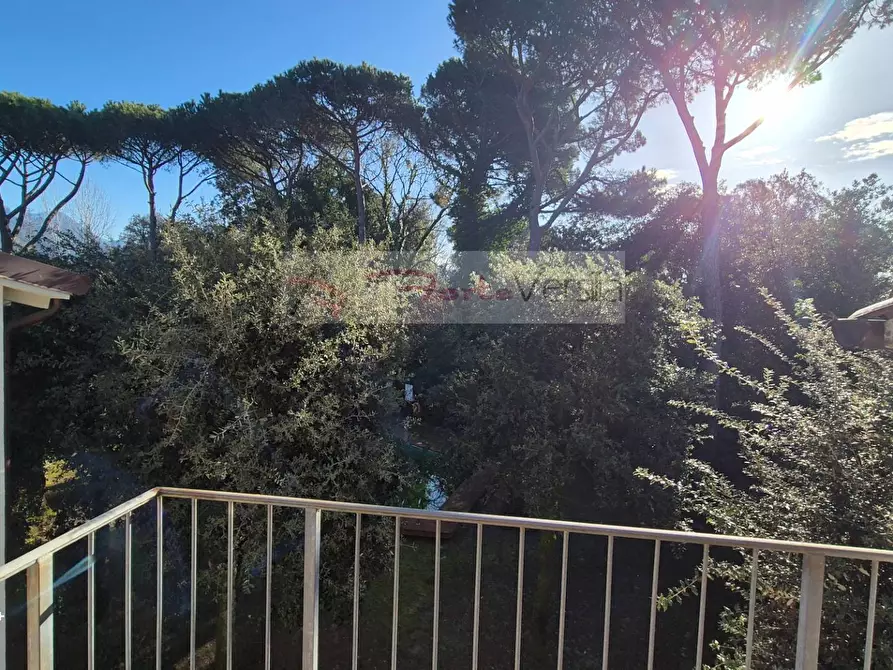 Immagine 25 di Villa in vendita  a Forte Dei Marmi