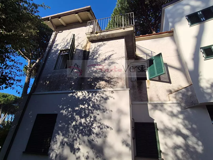 Immagine 29 di Villa in vendita  a Forte Dei Marmi