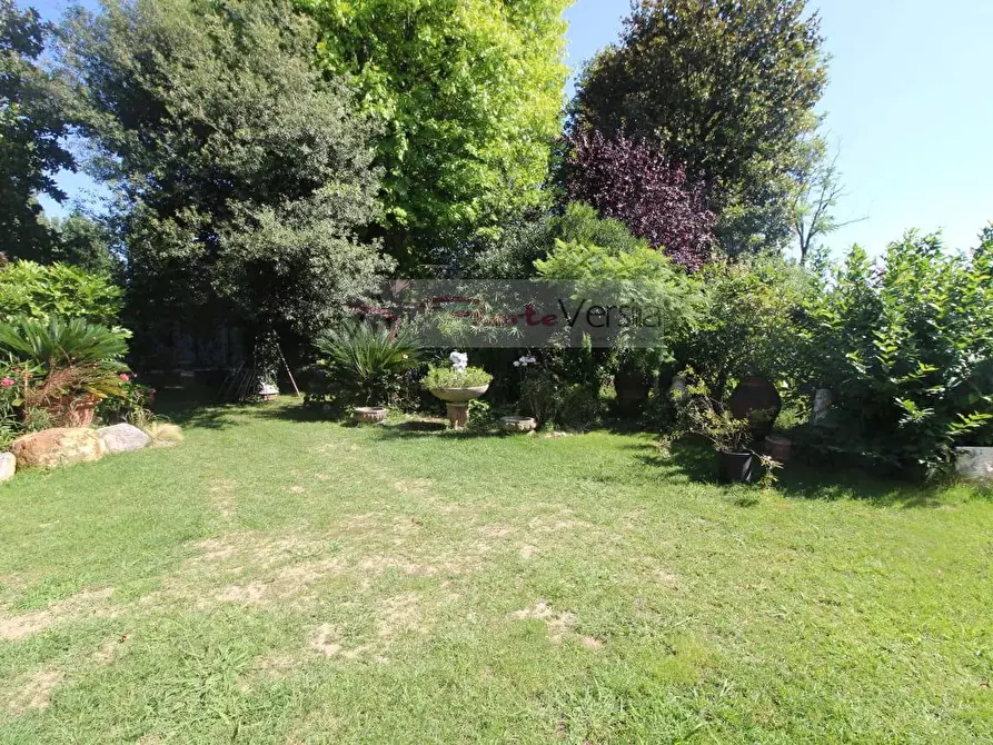 Immagine 5 di Villa in affitto  a Forte Dei Marmi
