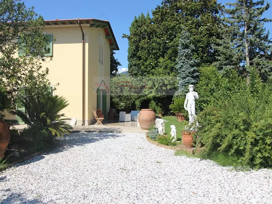 Immagine 4 di Villa in affitto  a Forte Dei Marmi