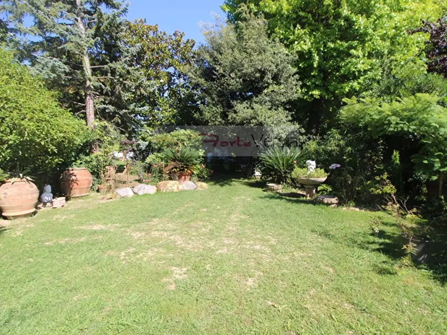 Immagine 7 di Villa in affitto  a Forte Dei Marmi