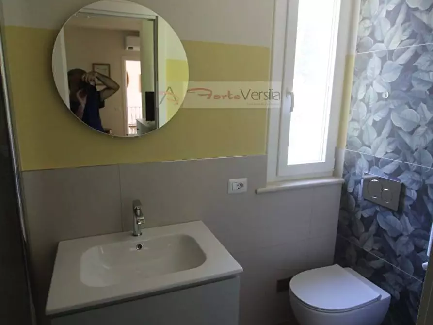 Immagine 17 di Villa in affitto  a Forte Dei Marmi