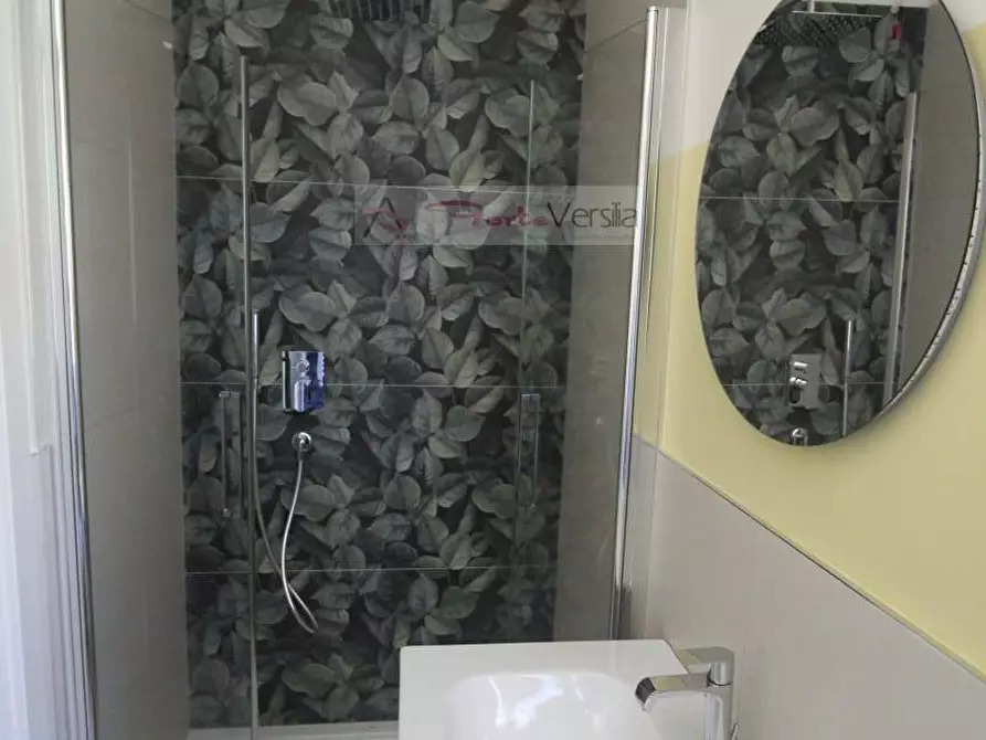 Immagine 16 di Villa in affitto  a Forte Dei Marmi