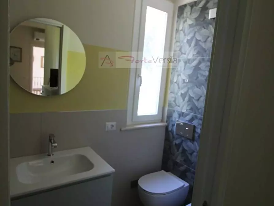 Immagine 19 di Villa in affitto  a Forte Dei Marmi