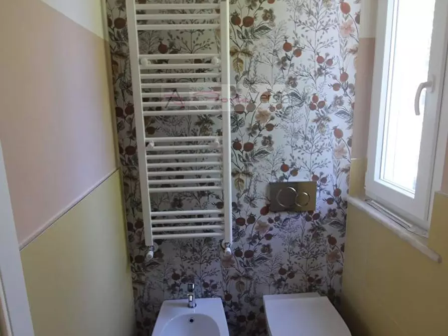 Immagine 20 di Villa in affitto  a Forte Dei Marmi