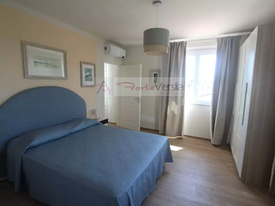 Immagine 26 di Villa in affitto  a Forte Dei Marmi