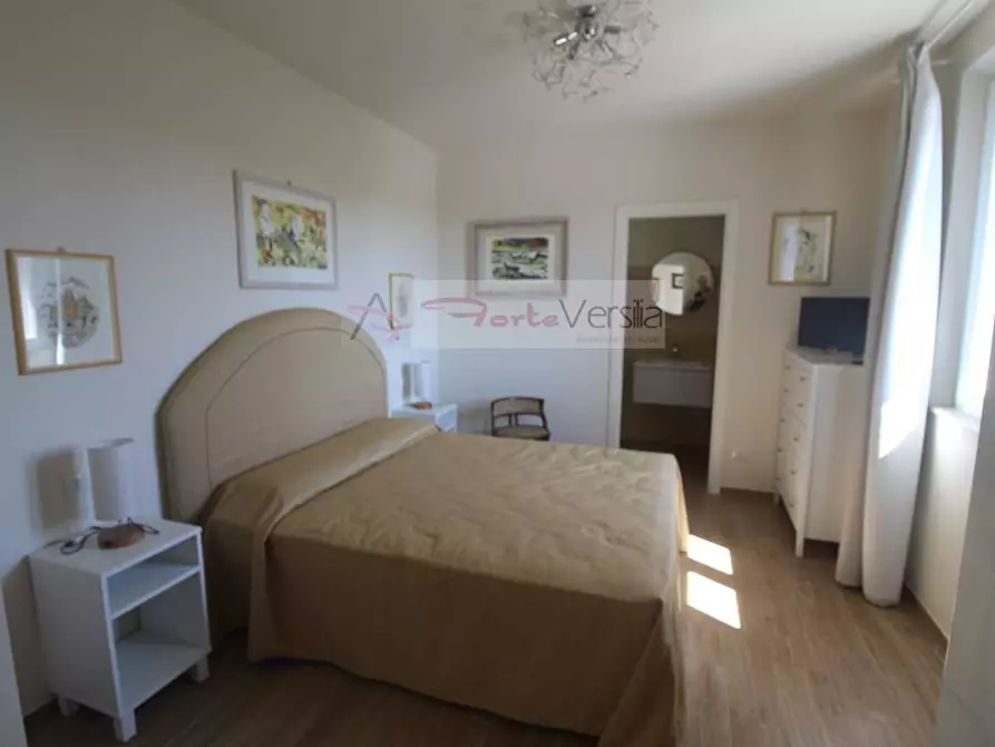 Immagine 27 di Villa in affitto  a Forte Dei Marmi