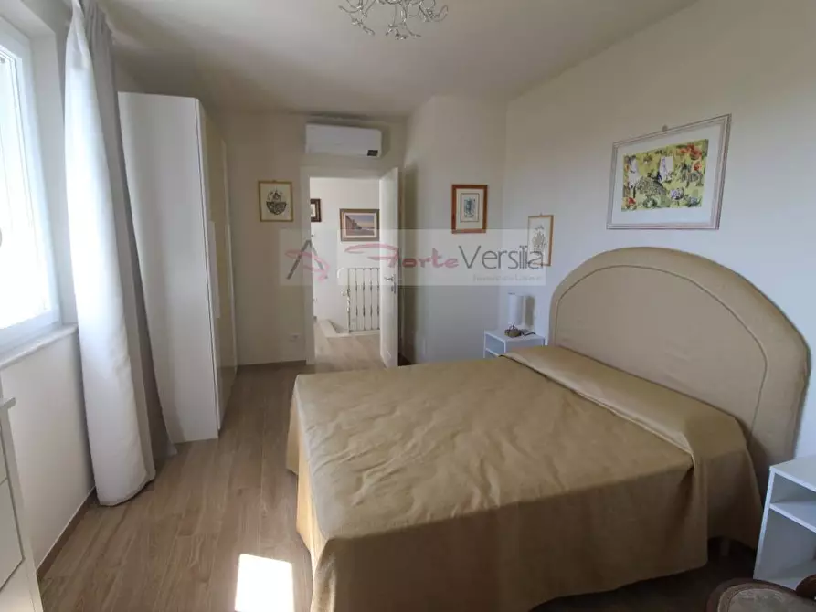 Immagine 28 di Villa in affitto  a Forte Dei Marmi