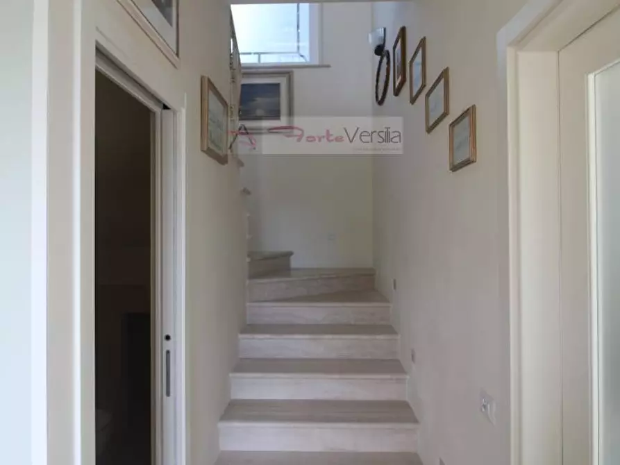 Immagine 10 di Villa in affitto  a Forte Dei Marmi