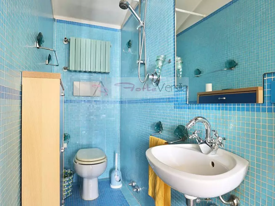 Immagine 12 di Villa in affitto  a Forte Dei Marmi