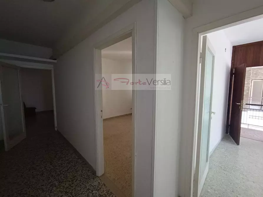 Immagine 5 di Appartamento in vendita  a Massa