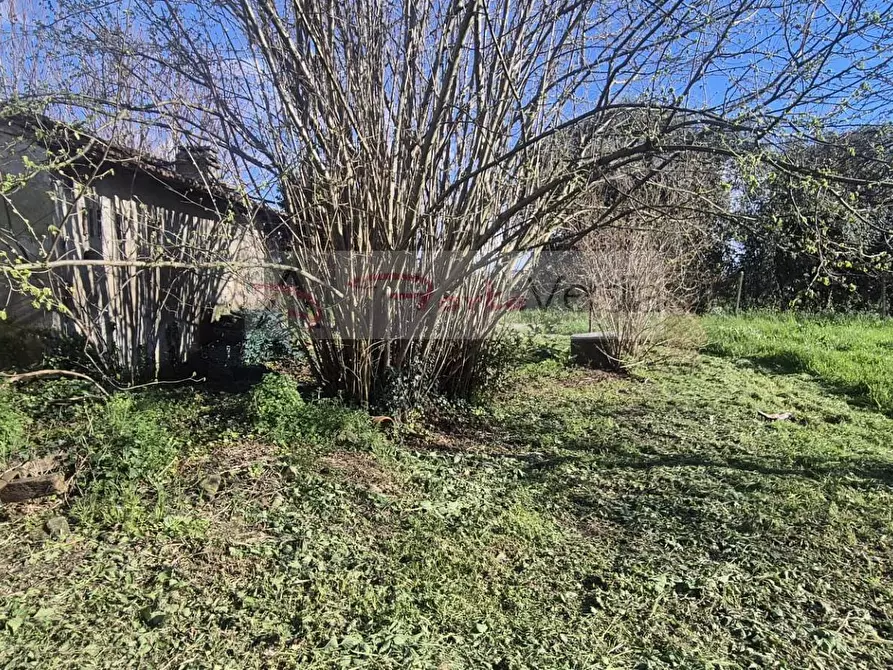 Immagine 4 di Rustico / casale in vendita  a Seravezza