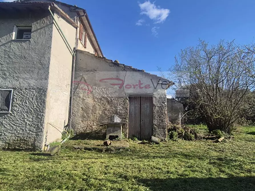 Immagine 5 di Rustico / casale in vendita  a Seravezza