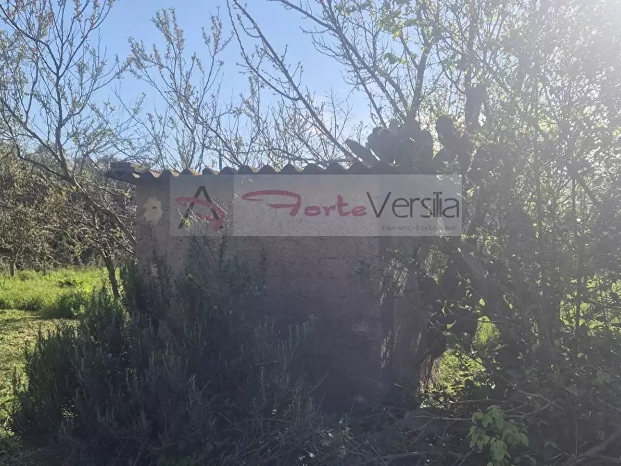 Immagine 7 di Rustico / casale in vendita  a Seravezza